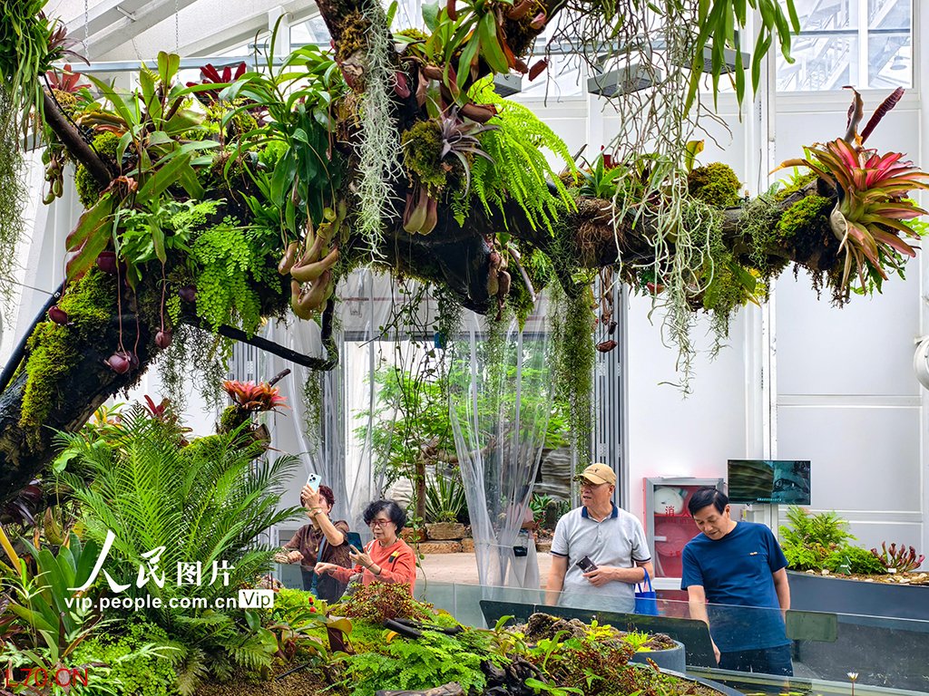 浙江宁波：奇花异草引客来