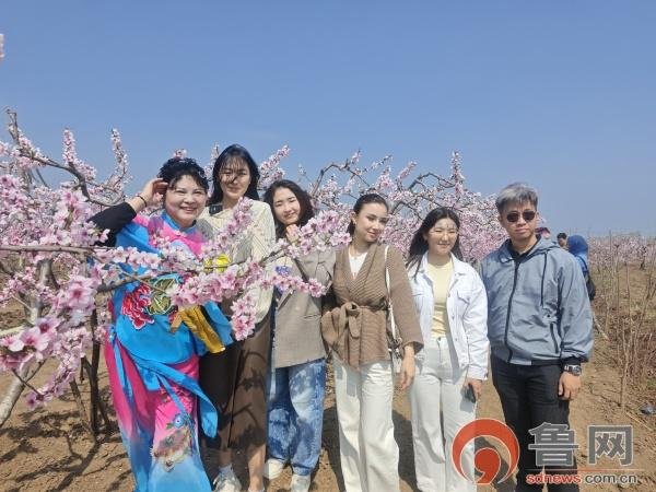 外籍友人“寻美”胶北桃花园