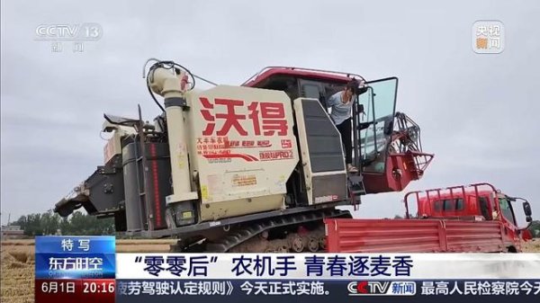 两年练成收割机“老把式” 这个“00后”姑娘太拼了