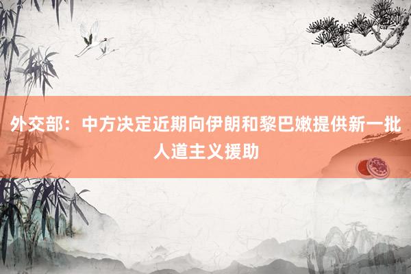 外交部：中方决定近期向伊朗和黎巴嫩提供新一批人道主义援助