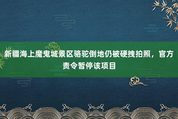 新疆海上魔鬼城景区骆驼倒地仍被硬拽拍照，官方责令暂停该项目