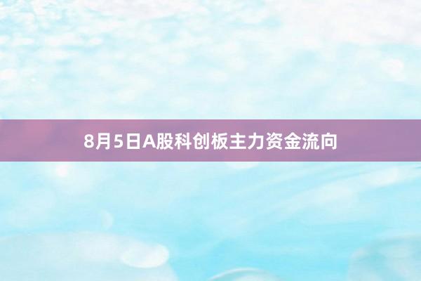 8月5日A股科创板主力资金流向