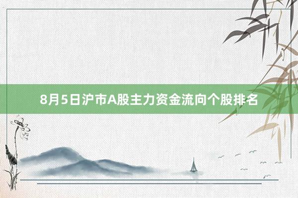8月5日沪市A股主力资金流向个股排名