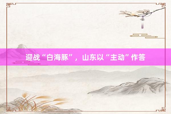迎战“白海豚”，山东以“主动”作答