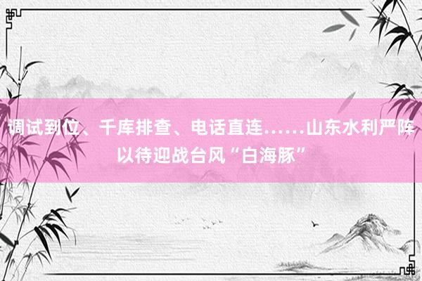 调试到位、千库排查、电话直连……山东水利严阵以待迎战台风“白海豚”