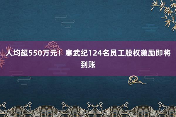 人均超550万元！寒武纪124名员工股权激励即将到账