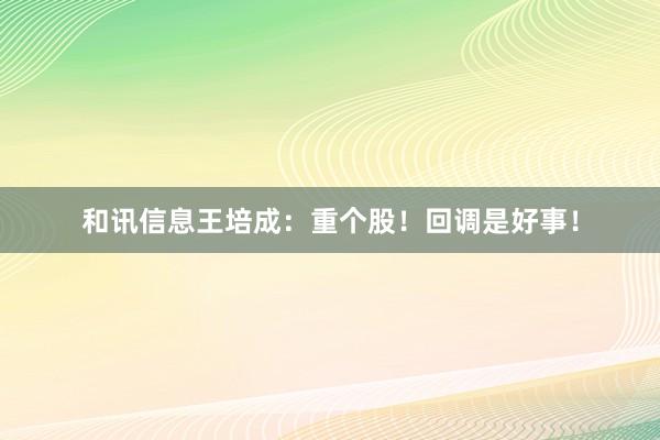 和讯信息王培成：重个股！回调是好事！