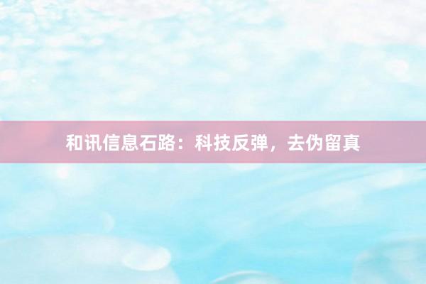 和讯信息石路：科技反弹，去伪留真