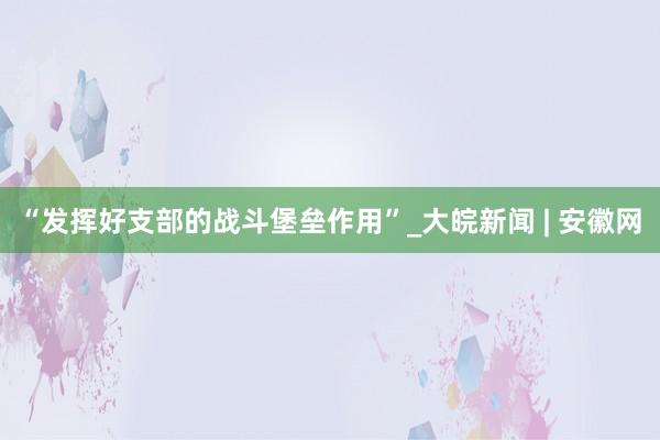 “发挥好支部的战斗堡垒作用”_大皖新闻 | 安徽网