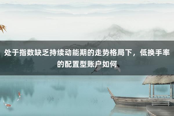 处于指数缺乏持续动能期的走势格局下，低换手率的配置型账户如何