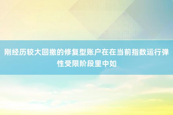 刚经历较大回撤的修复型账户在在当前指数运行弹性受限阶段里中如