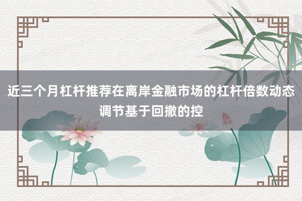 近三个月杠杆推荐在离岸金融市场的杠杆倍数动态调节基于回撤的控