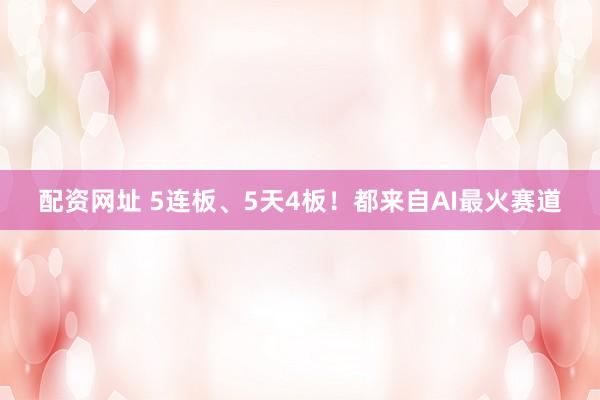 配资网址 5连板、5天4板！都来自AI最火赛道
