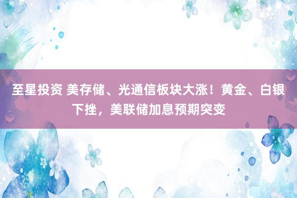 至星投资 美存储、光通信板块大涨！黄金、白银下挫，美联储加息预期突变