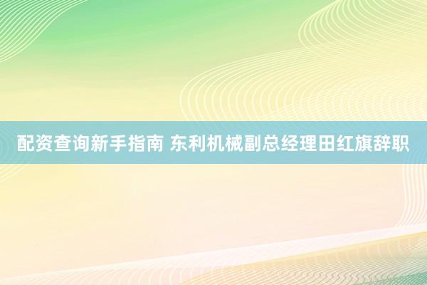 配资查询新手指南 东利机械副总经理田红旗辞职