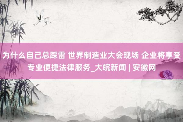 为什么自己总踩雷 世界制造业大会现场 企业将享受专业便捷法律服务_大皖新闻 | 安徽网