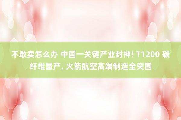 不敢卖怎么办 中国一关键产业封神! T1200 碳纤维量产, 火箭航空高端制造全突围